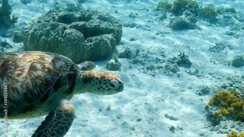 沖縄の海