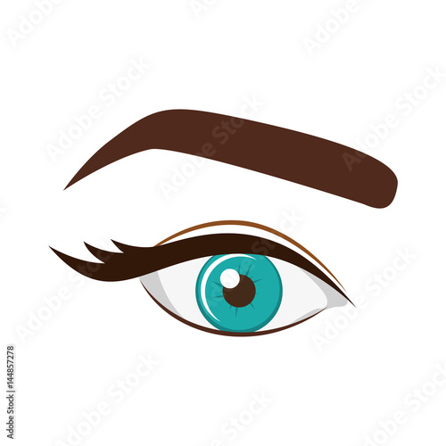 woman blue eye with eyebrow vector illustration
