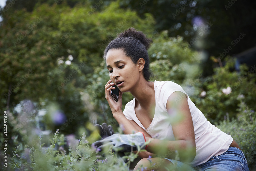 Young female gardener using mobile phone while looking at plants Young female gardener using mobile phone while looking at plants