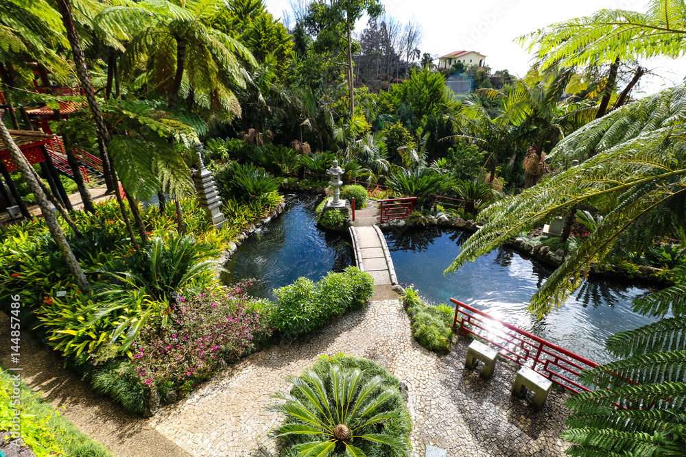 Tropischer Garten Monte Palace, Madeira StockFoto Adobe Stock
