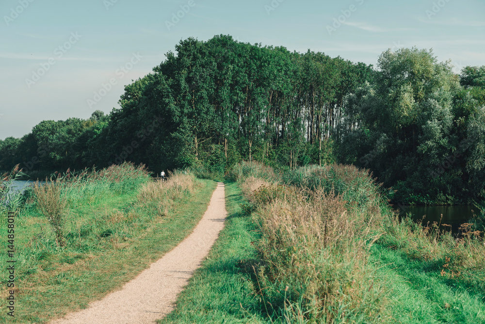 Fototapeta premium Path on grassy dike in dutch summer landscape.