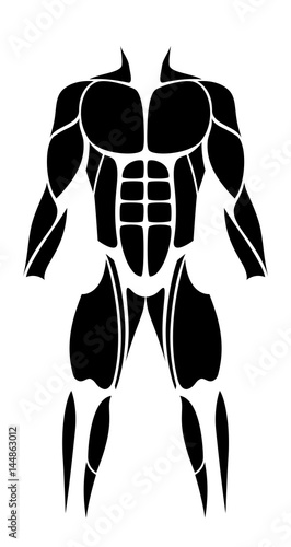 Muscles - abstract black figure or icon of the largest human muscles - isolated vector illustration on white background.