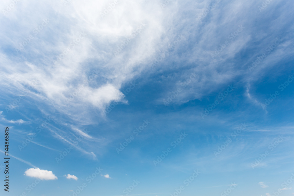 Obraz premium Cloud, look like a fenix, on the blue sky.