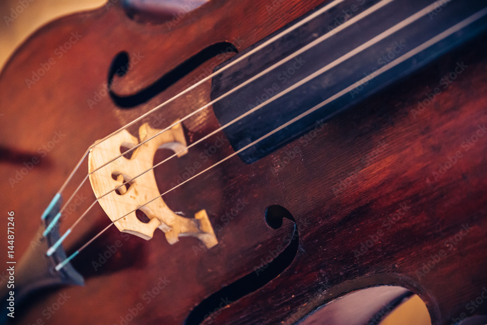 Fototapeta premium cello strings