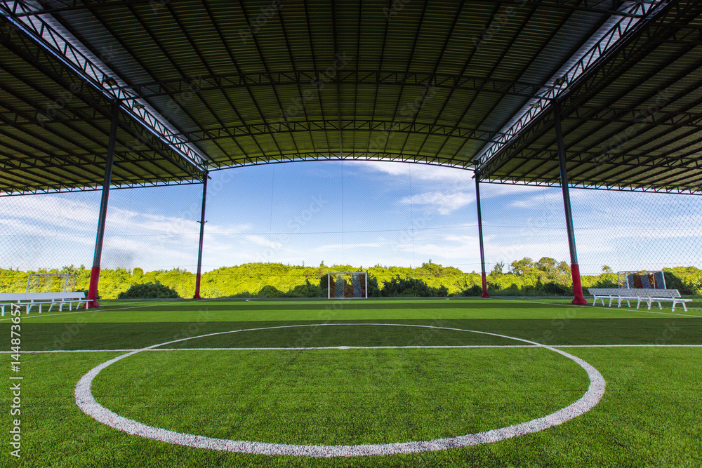 Fototapeta premium Football field Small, Futsal ball field in the gym indoor, Soccer sport field outdoor park with artificial turf