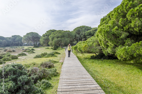 National park of doñana in huelva