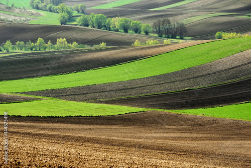 Fields and agriculture, spring countryside, Ponidzie, Poland 
