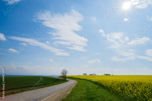 Frühlingslandschaft in Oberösterreich