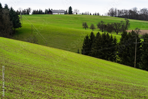 Frühlingslandschaft in Oberösterreich