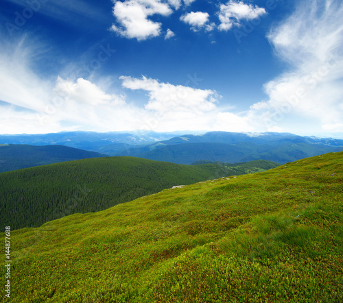 Mountain landscape in summer