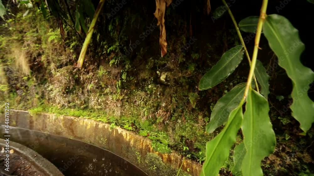  Levada (	irrigation canal, Aqueduct) found on the island Madeira, Portugal.