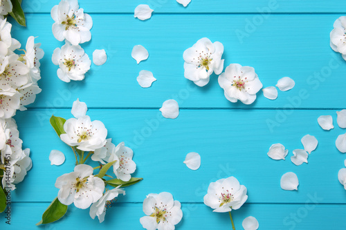 Spring blossom on blue wood