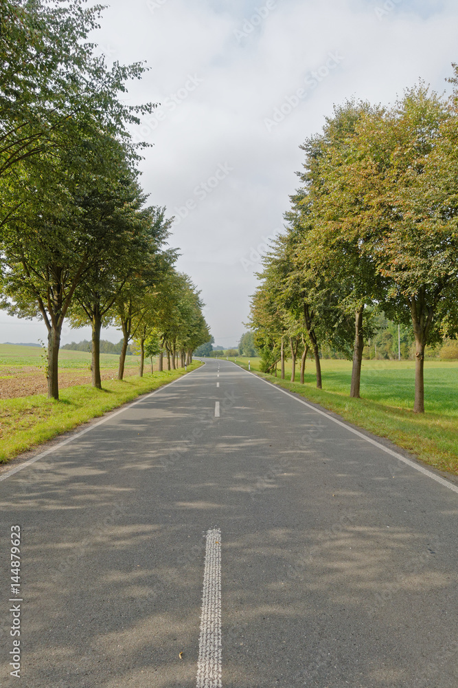 straight road in the countryside