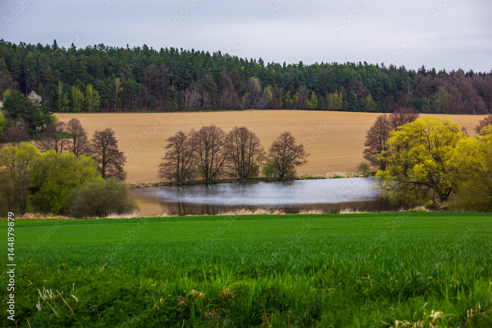 Landscape of Czech countryside. Natural background Europe Czech Republic - obrazy, fototapety, plakaty 