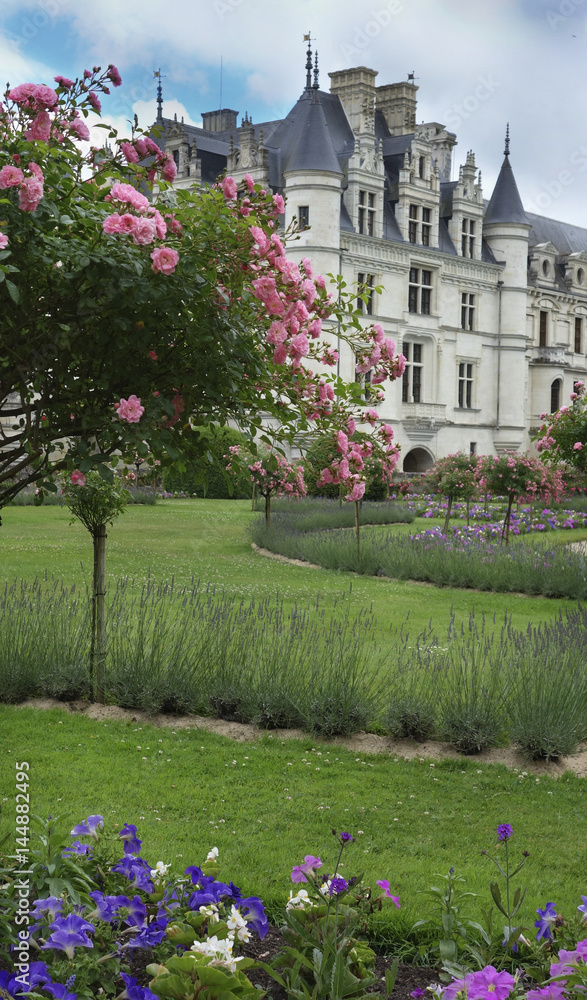 Castles of Loire in France.  Chateau-de-Chenonceau.