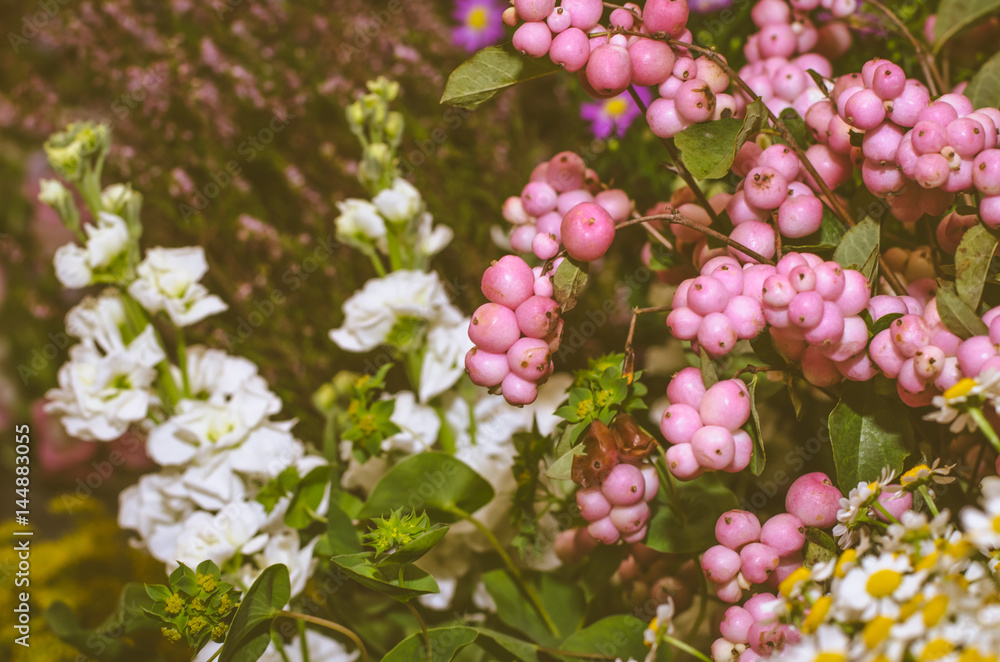 beautiful pink and white flower background beautiful pink and white flower background