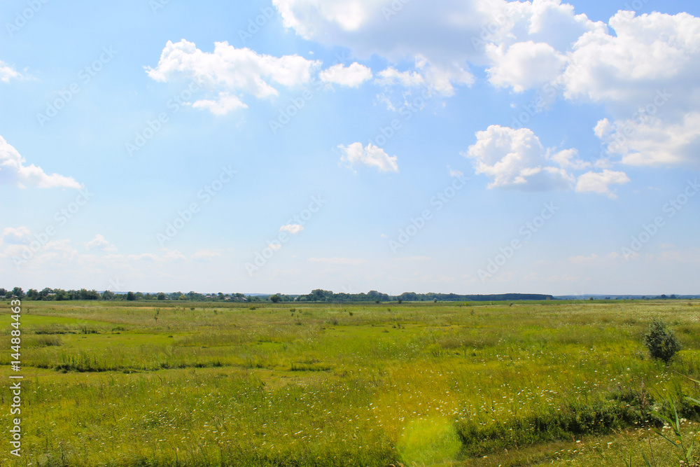 Wide meadow and blue sky. Summer landscape