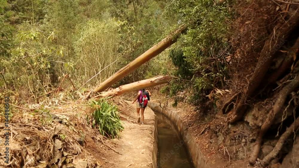 Walking along the so called Levada (here in Ribeiro Frio) on the island Madeira, Portugal. Walking along the so called Levada (here in Ribeiro Frio) on the island Madeira, Portugal.