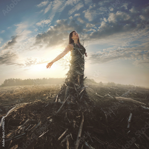Obraz na plátně Praise in a desolate landscape