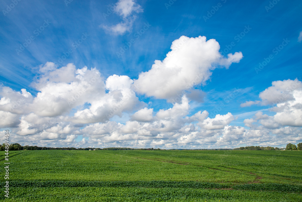 Green grass field and bright blue sky. Dobele, Latvia Green grass field and bright blue sky. Dobele, Latvia