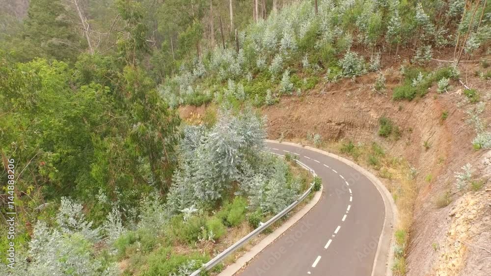 Aerial of a mountain road with euclypturs trees in a forest. Madeira, Portugal Aerial of a mountain road with euclypturs trees in a forest. Madeira, Portugal