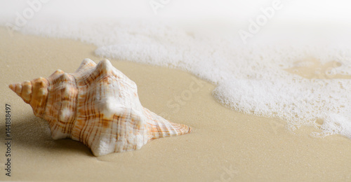 Soft wave with foam and Seashell on the sandy beach.