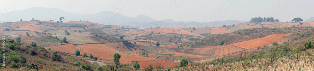 Panoramic view of the fields