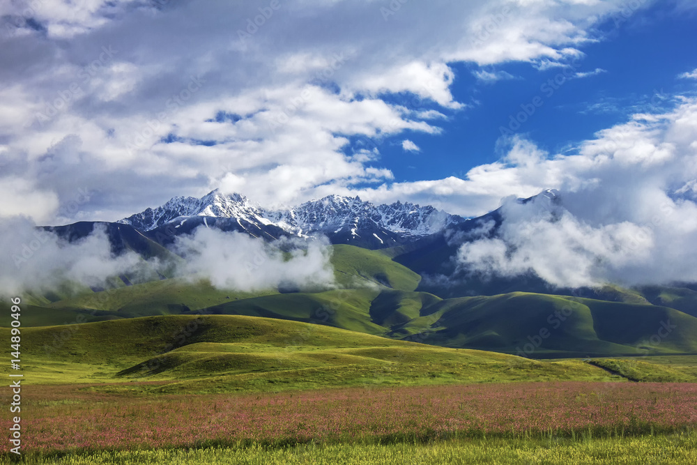Snow-covered mountains and green meadows. Beautiful Kyrgyzstan.