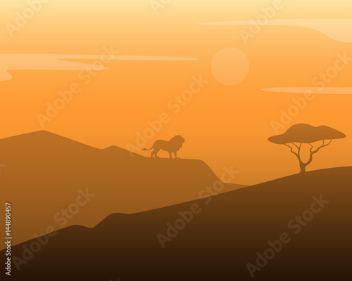 African hot landscape with lion and tree. Vector illustration