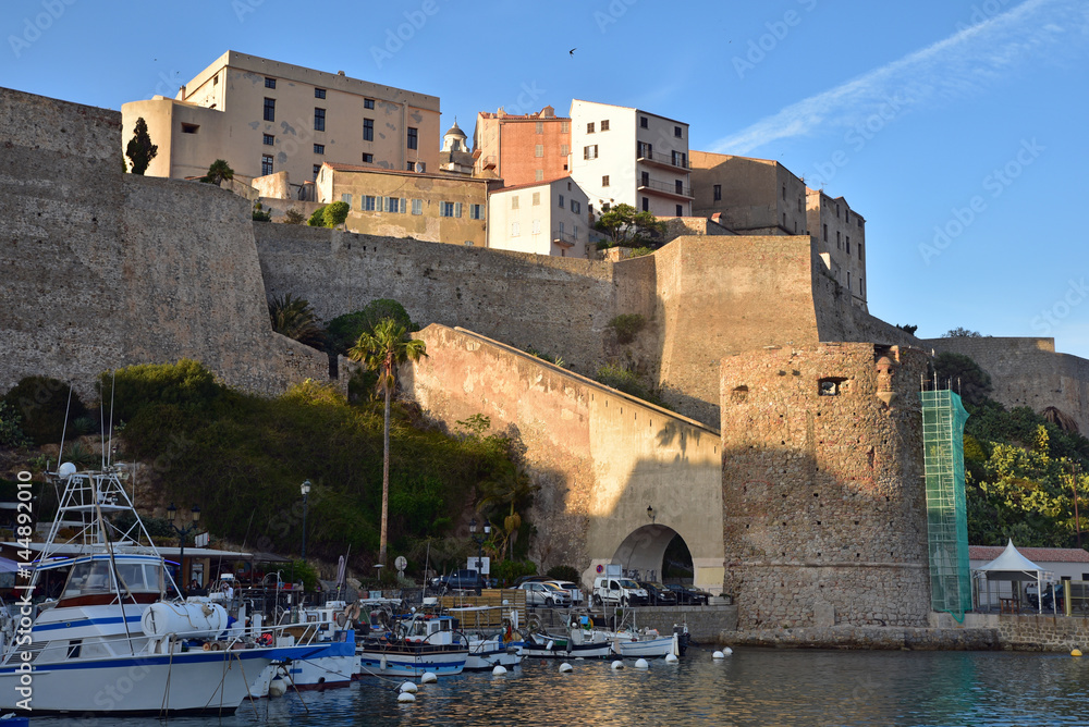 Citadelle et vieux port de Calvi en Corse