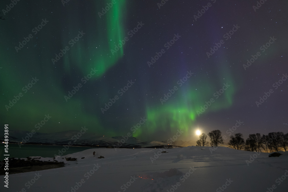 Northern Lights near Tromsø