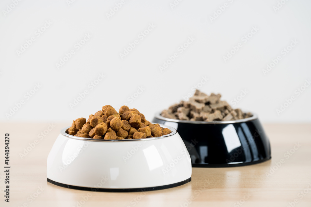Dog, Cat Food in Bowl Dog, Cat Food in Bowl