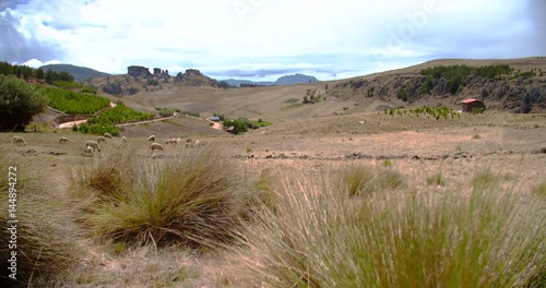 PERU: Cumbe Mayo Landscape near Cajamarca with ichu feathergrass, Peru. South America photo