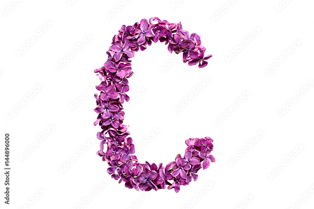 Flower letter lilac or purple color isolated on white background . Letter C