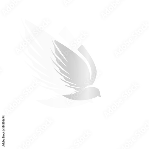 Isolated abstract silver color birds silhouettes logo on white background, wings and feathers elements logotype set vector illustration
