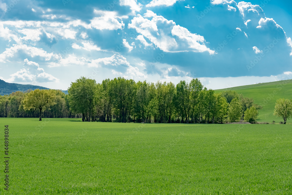 Spring landscape of the hills of southern tuscany Spring landscape of the hills of southern tuscany