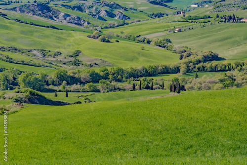 Spring landscapes in val d'orcia toscana italia
