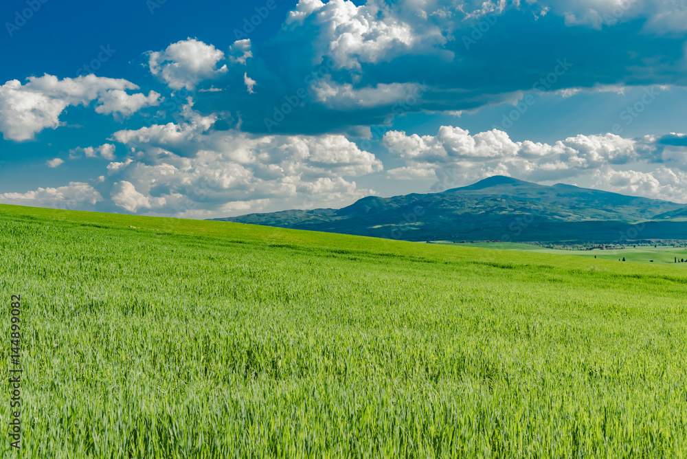 Obraz premium Spring in the valley of orcia to siena in the small center of montana and montalcino lands of brunello wine in tuscany italy