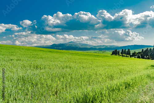 Panorama of green val d'orcia hills in tuscany italy in spring, land of red wine and cypresses