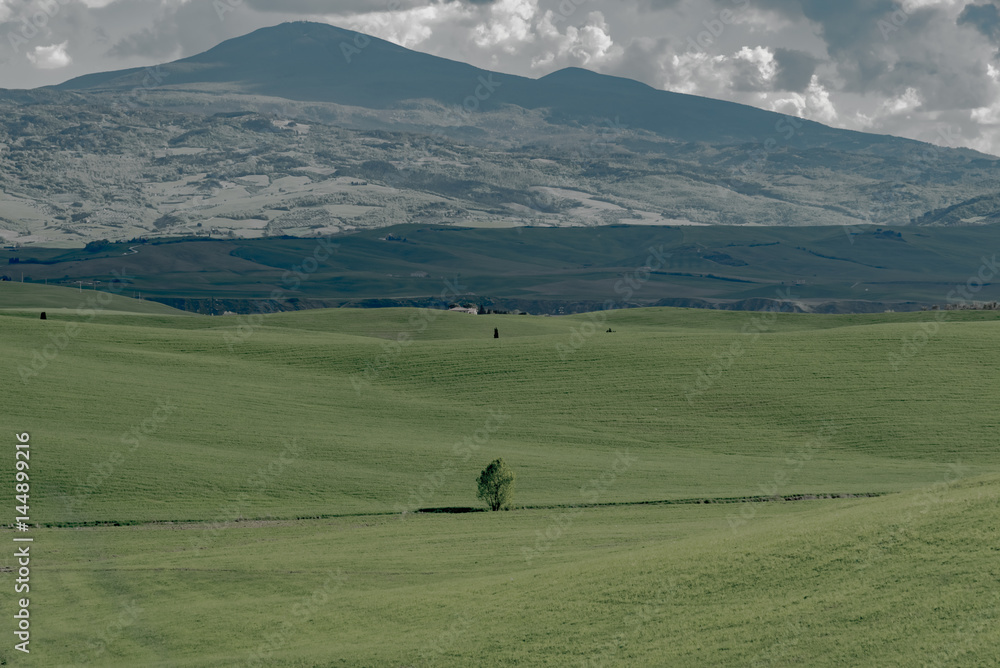 Obraz premium stunning landscape of green hills of the Val d'Orcia in Tuscany, the land of wine brunello of the city of Siena and Montalcino