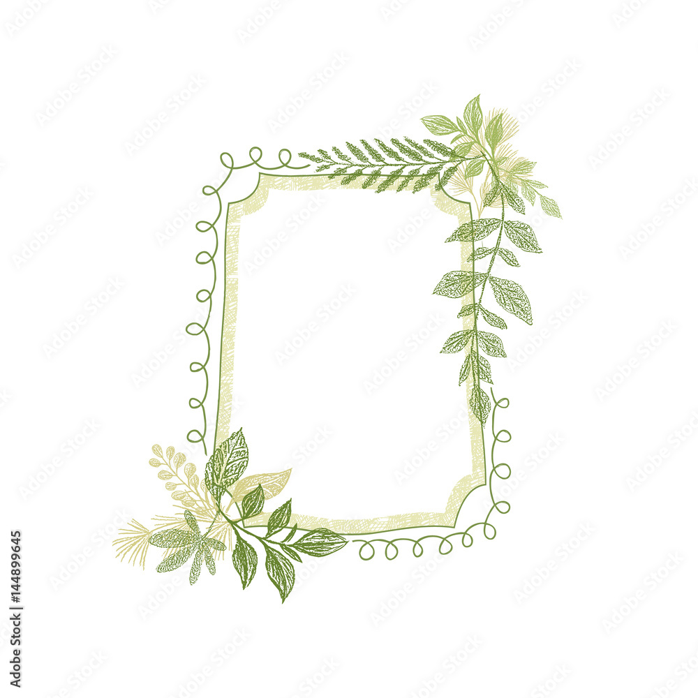 Frame with greenery plant leaves decoration vector. Hand drawn branch card design