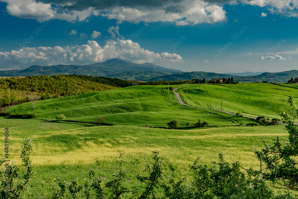 stunning landscape of green hills of the Val d'Orcia in Tuscany, the land of wine brunello of the city of Siena and Montalcino stunning landscape of green hills of the Val d'Orcia in Tuscany, the land of wine brunello of the city of Siena and Montalcino