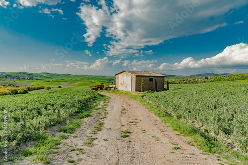 stunning landscape of green hills of the Val d'Orcia in Tuscany, the land of wine brunello of the city of Siena and Montalcino