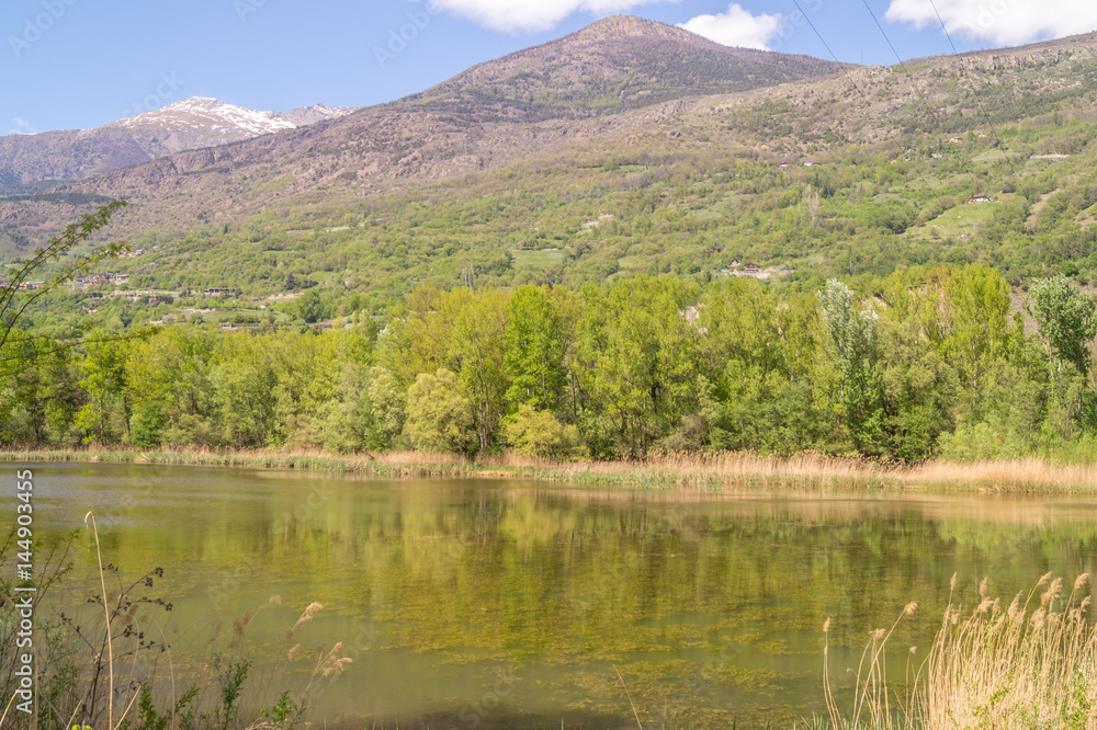 Lake in forest trees and mountain landscape Lake in forest trees and mountain landscape
