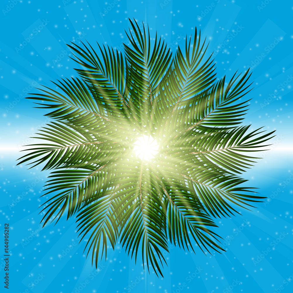 Fototapeta premium Palm Leaf Vector Background Illustration