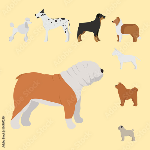 Funny cartoon dog character bread in cartoon style vector illustration.