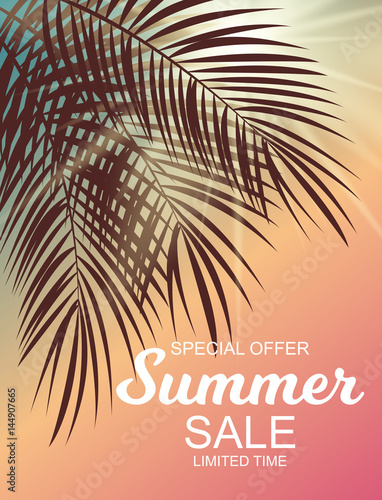 Summer Sale Background Vector Illustration