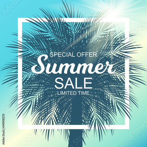 Summer Sale Background Vector Illustration