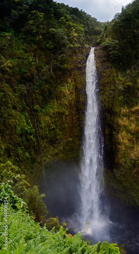 Hawaiian Waterfall © stephen