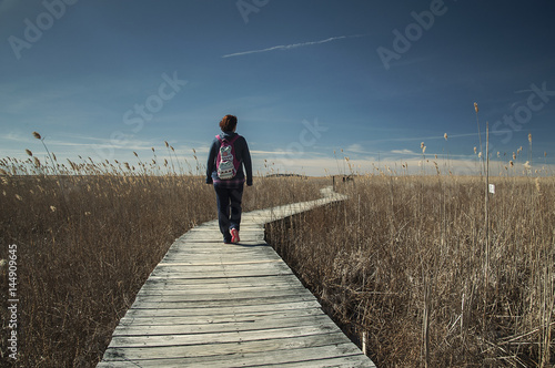 Schilderij op canvas Wooden walkway to the ocean / Woman walking on a wooden walkway in Cape Cod